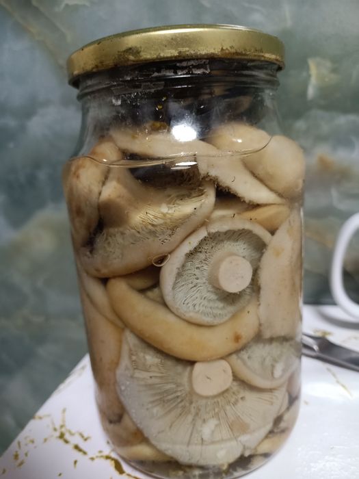 Продам грибы грузди