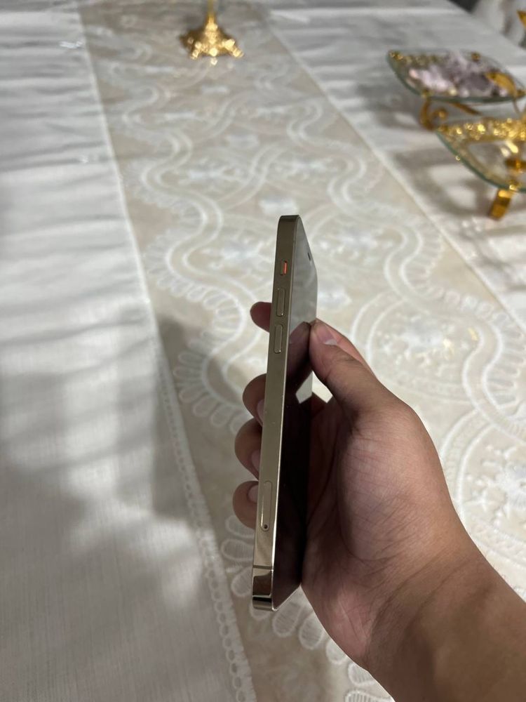 Iphone 12 pro.