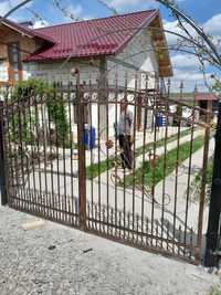 Porți și panouri gard