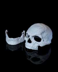 Masca Skull by ARTIFACT3D