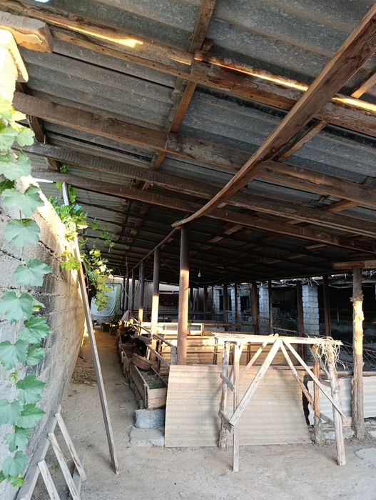 Zangiota tumani Ramadan nasosniy 12 sotix uy 6 xona