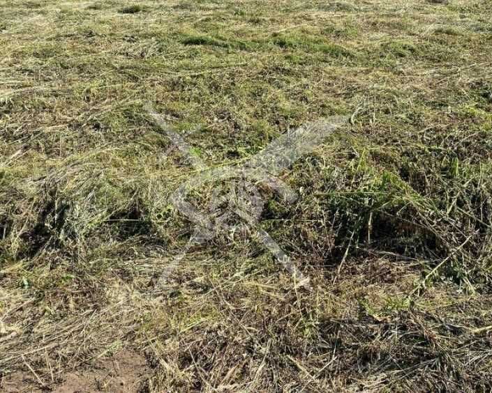 Парцел в Царацово 22224