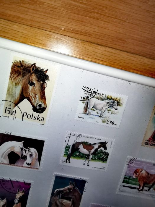 Картина от пощенски марки 17 бр. коне в бяла рамка 20,5 х 28,5 х 2 см