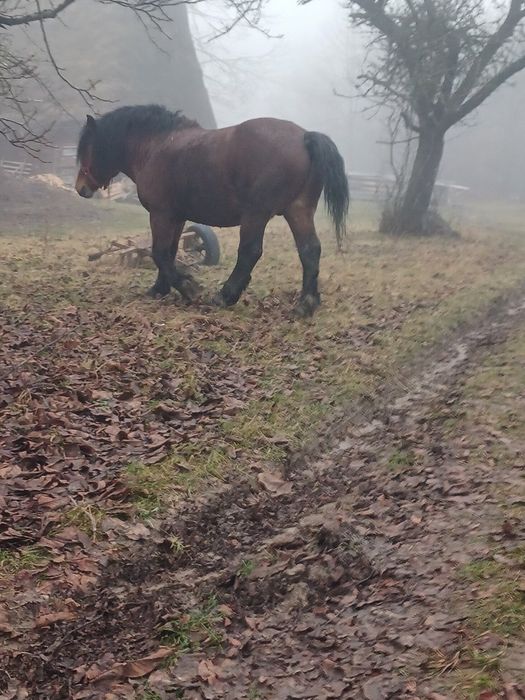 Vand ce se vede mai multe detali la telefon