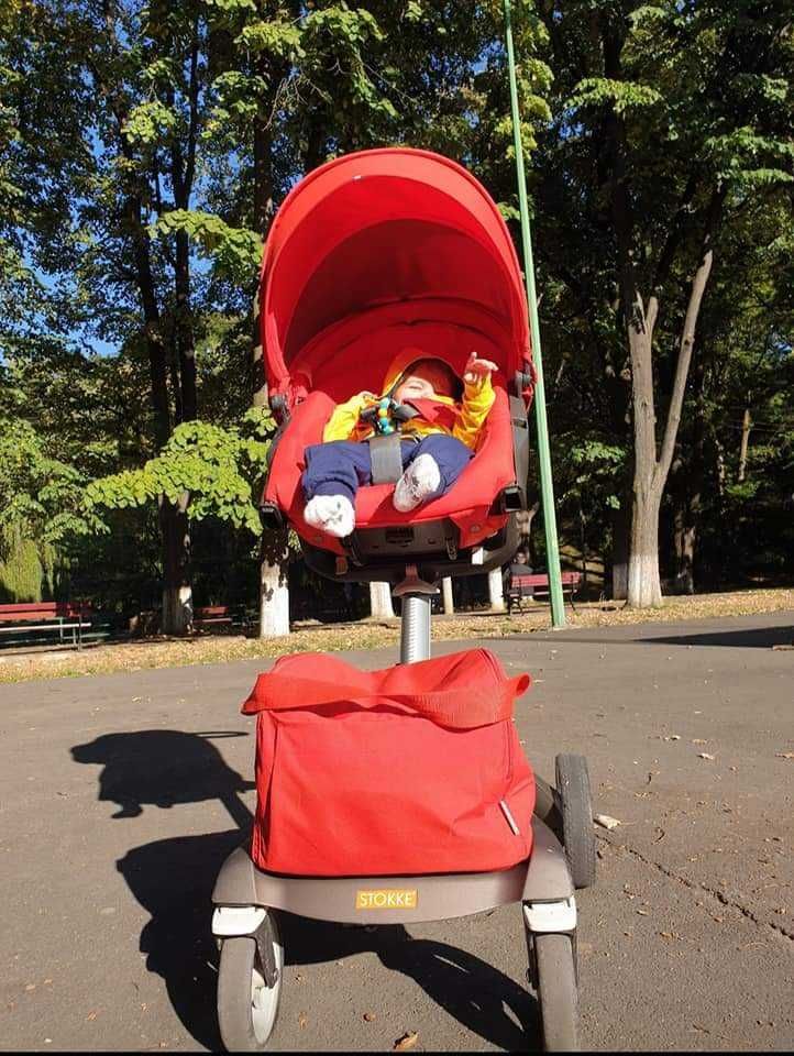 Vand carut stokke v4