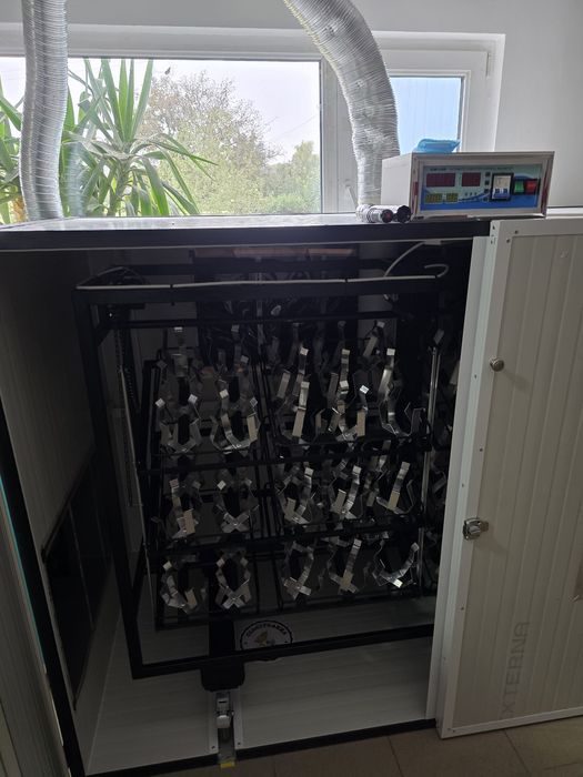 incubator oua strut
