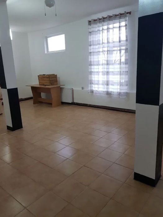 Ferma oi sau vaci