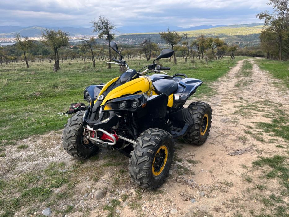 Can Am renegade 800r