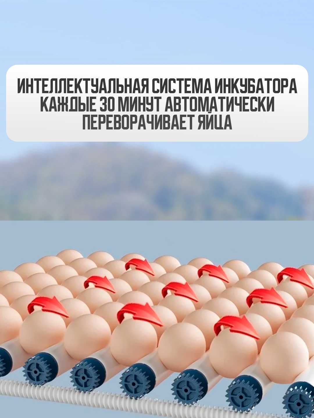 Инкубатор для яиц, 30/63/130 мест. Inkubator tuhum uchun