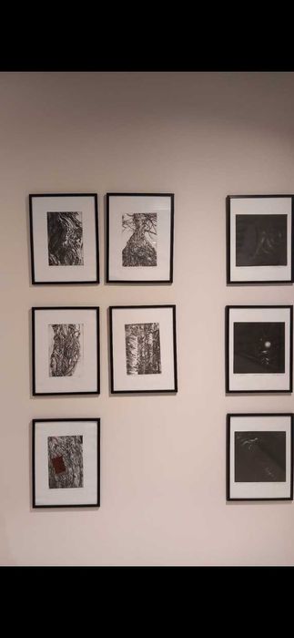 Tablouri grafica tuș, desenez la comanda