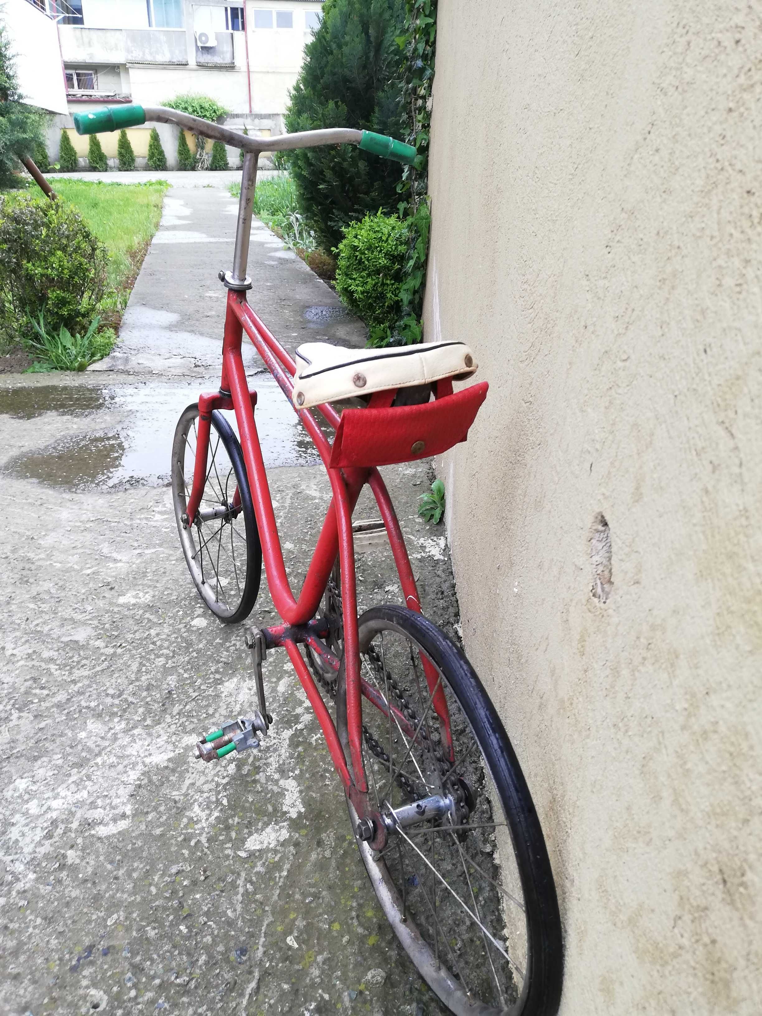 Bicicleta Ideal Medias