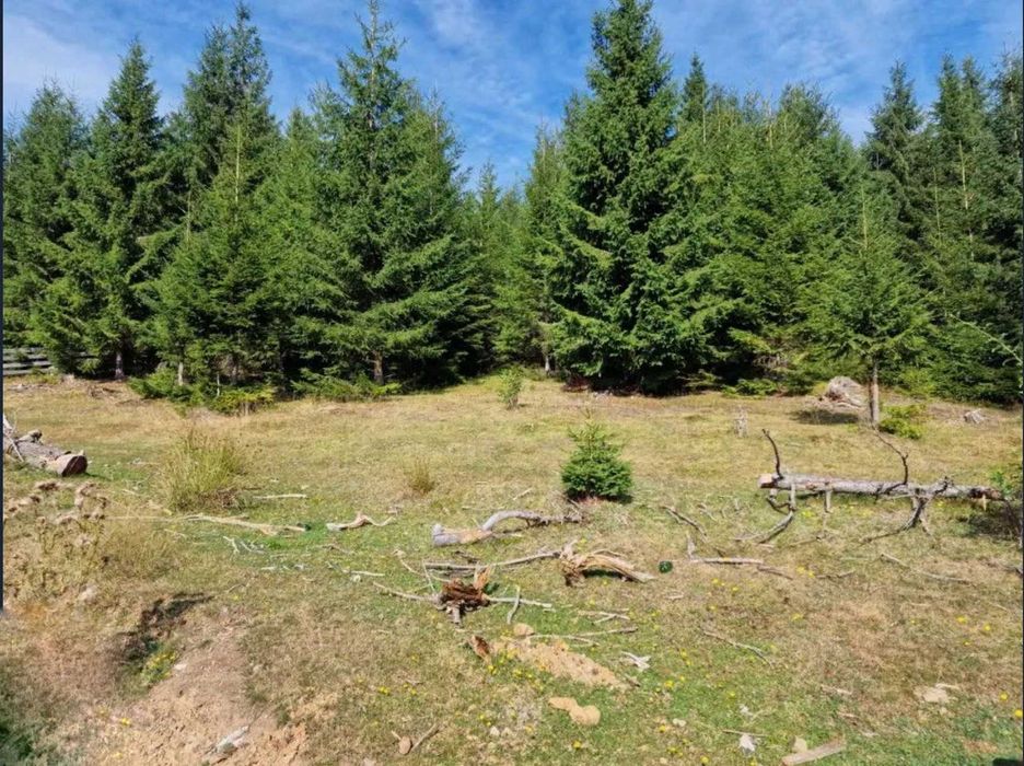 Teren Marisel 2008mp, Cluj