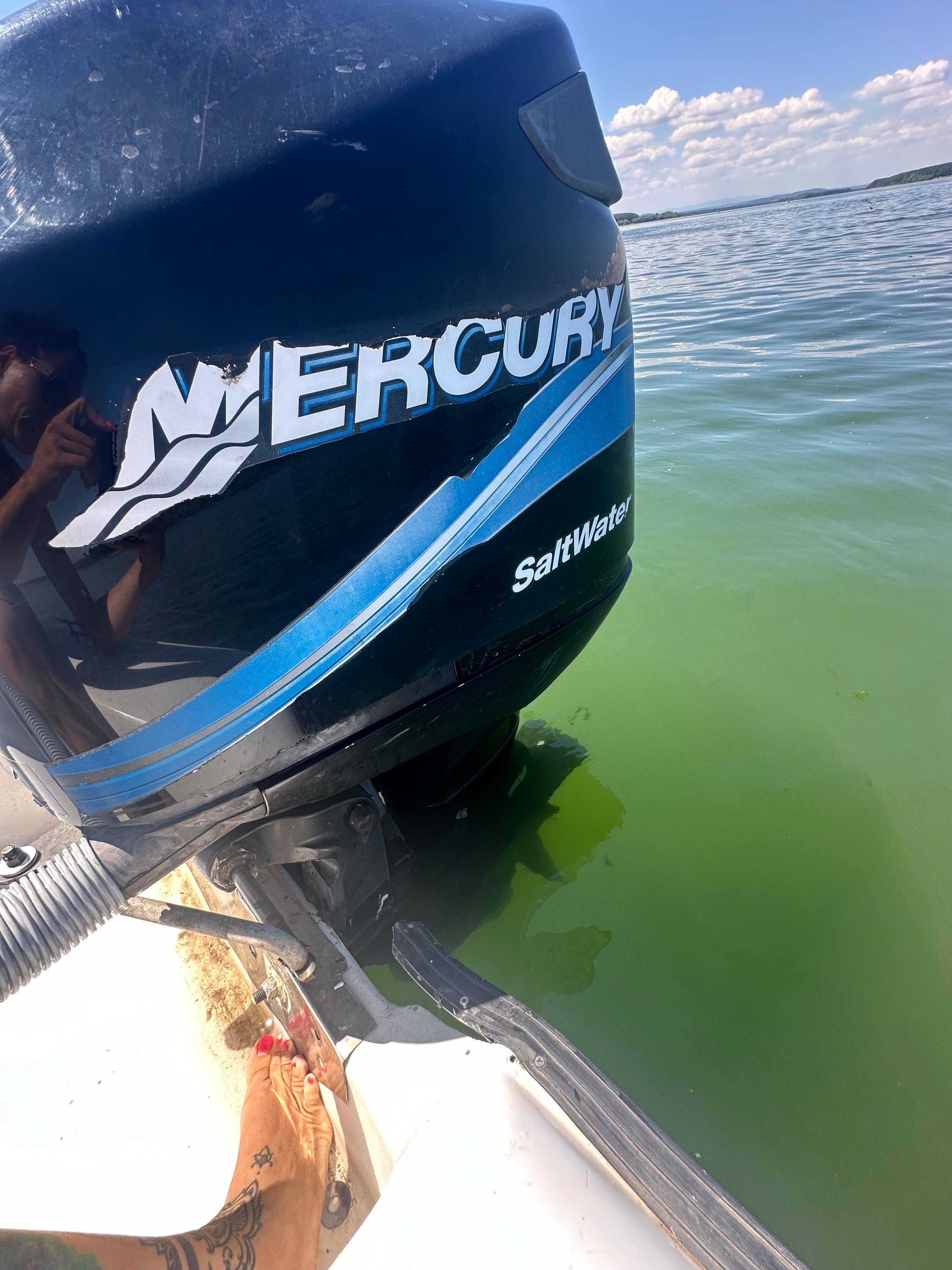 Mercury 115 optimax