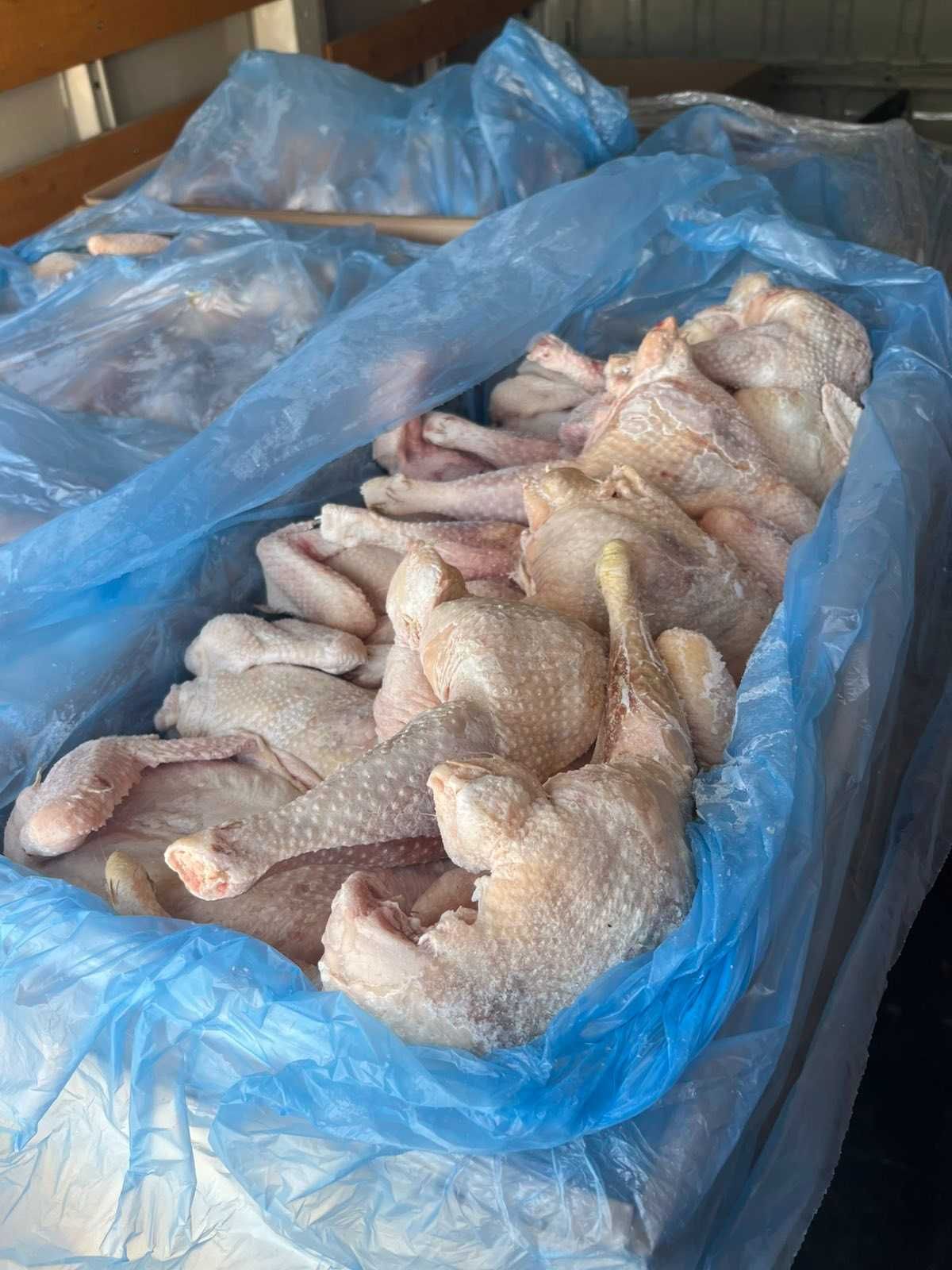 Месо  за  Кучета