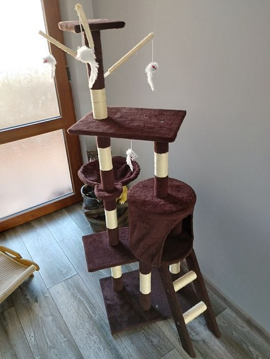 Катерушка за котки