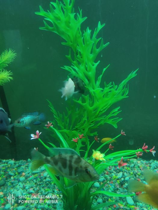 Декор пластмассовые растения 4 штуки