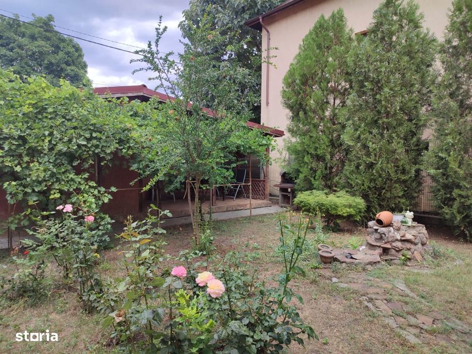 Buzau, 23 august, stadion