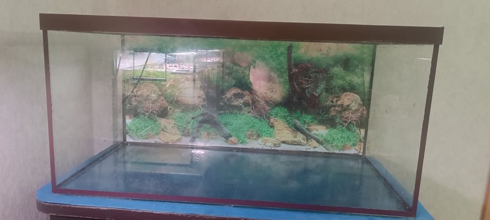 Аквариум 250 литров б/у в хорошем состоянии.