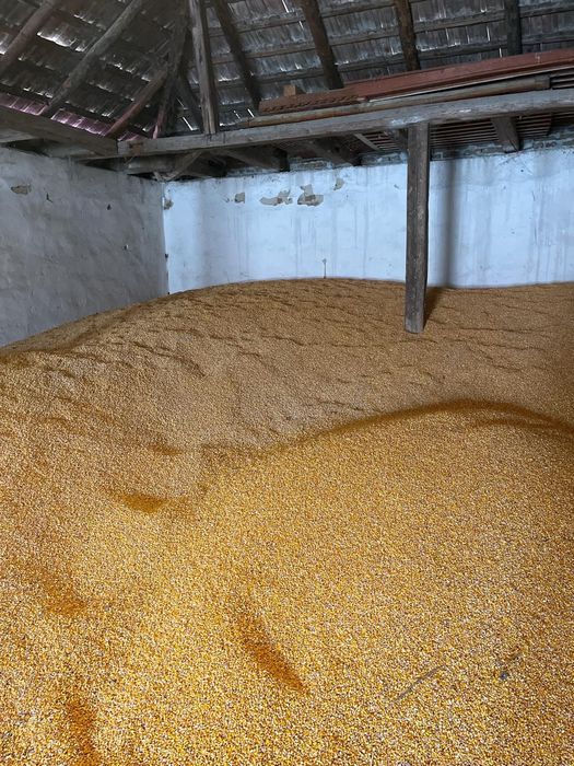 Vand mai multe cereale