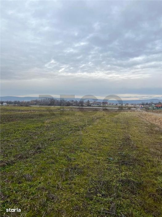 RECO Teren intravilan cu PUZ in Osorhei