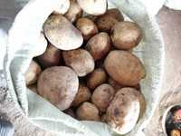 Домашняя Семеновская картошка