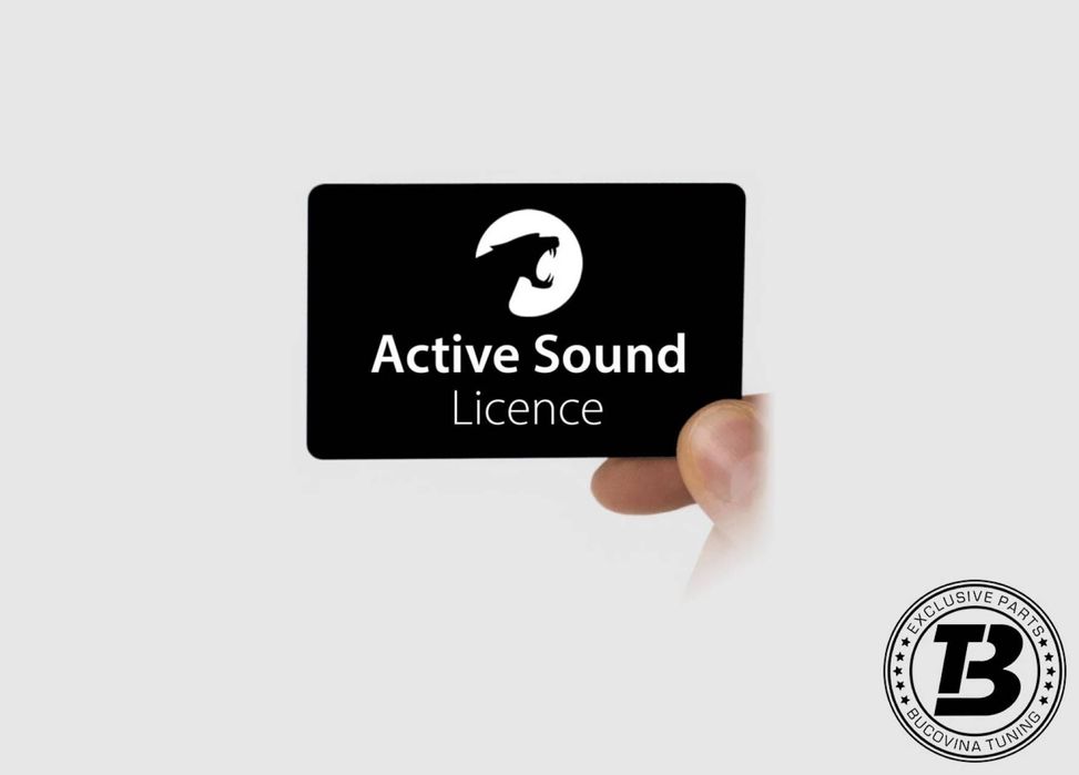 Maxhaust Active Sound Booster cu doua generatoare sunet - Modul de sunet Maxhaust MONTAJ INCLUS