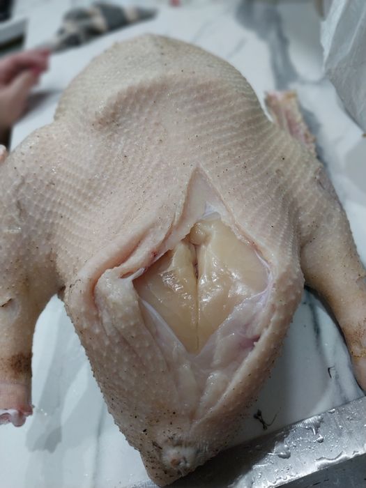 Продам гусей,Қаз сатылады