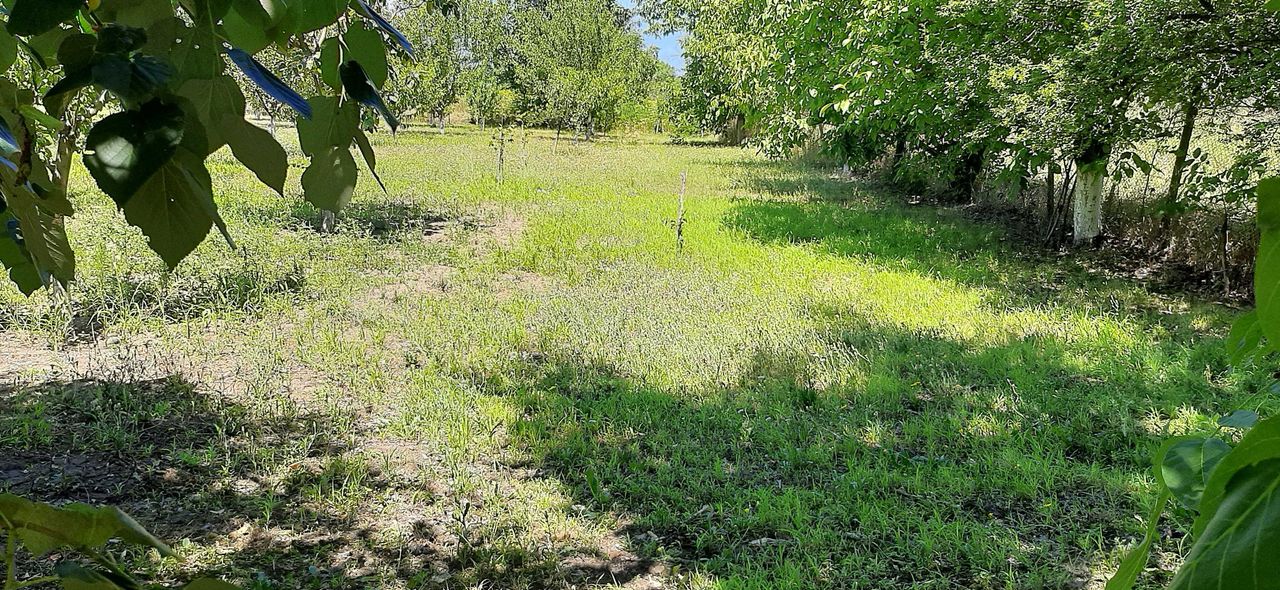 Продава се Къща в с. Съединение, Област Търговище - 42 кв.м за 304 €/кв.м - Снимка #6