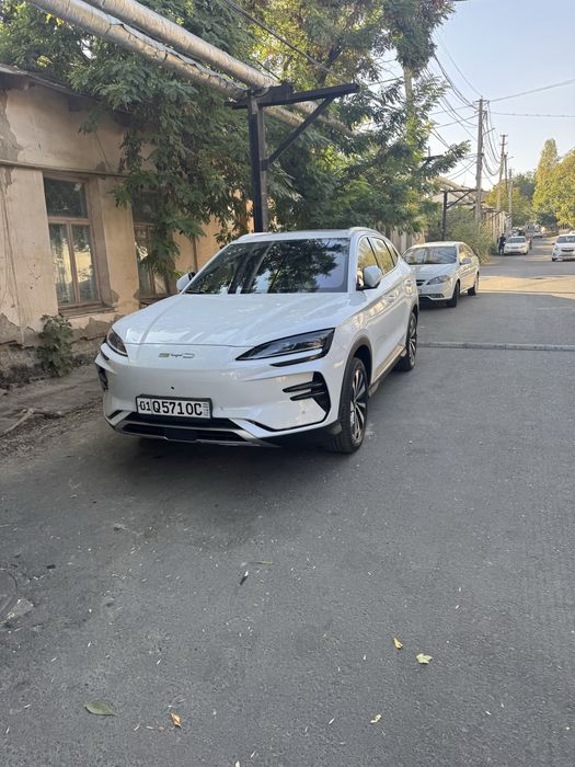 BYD Chempion 605/2023