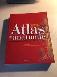 Atlas de anatomie Pierre Kamina NOU MEDICINA