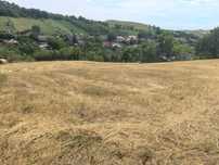 Teren de varzare Cluj