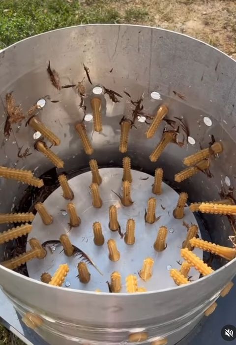 Тауық, қаз, үйрек жұлатын аппарат