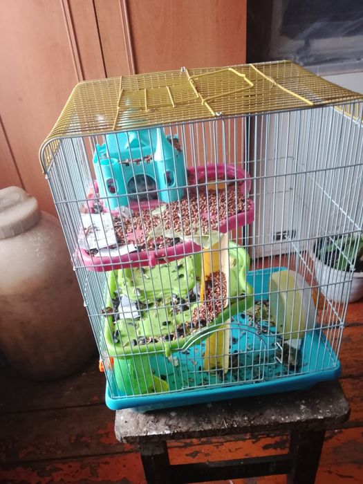 Продам хомячка джунгарика с большой клеткой двух этажный