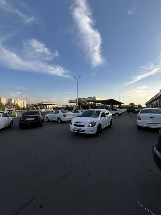 Cobalt midnight sotiladi