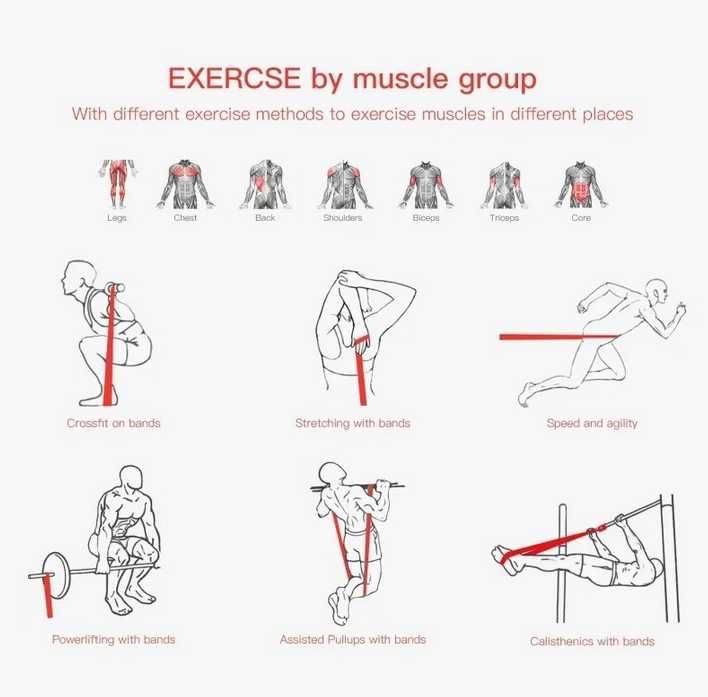 Силови ленти със съпротивление Active Gym - 6,4мм , 13мм и 22мм