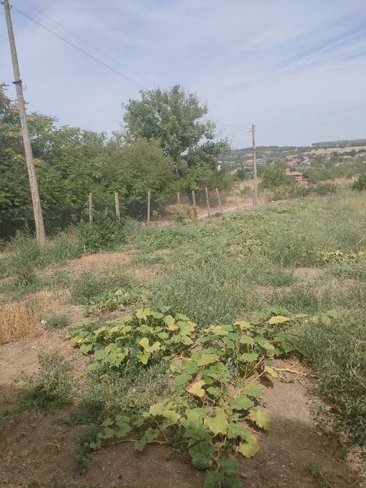 Продава се Къща в с. Добротица, Област Силистра - 4000 кв.м за 6 €/кв.м - Снимка #2