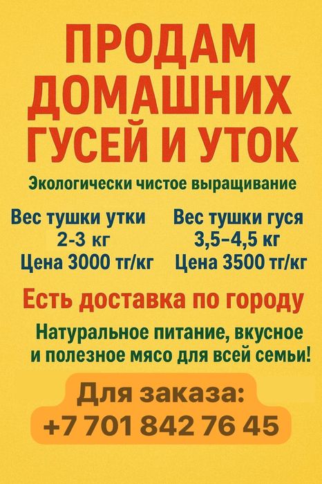 Продам домашних уток гусей