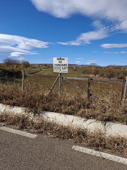 Vând teren intravilan 3OOO mp