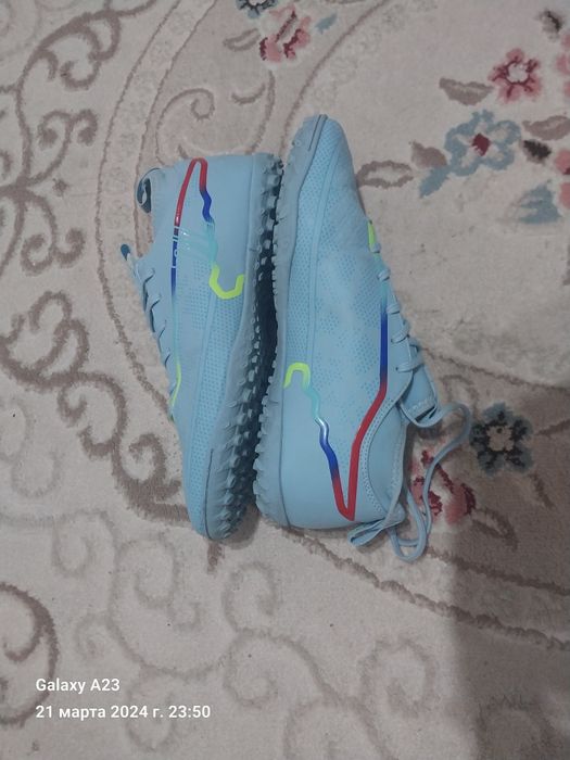 Сороконошки в хорошем состаяни