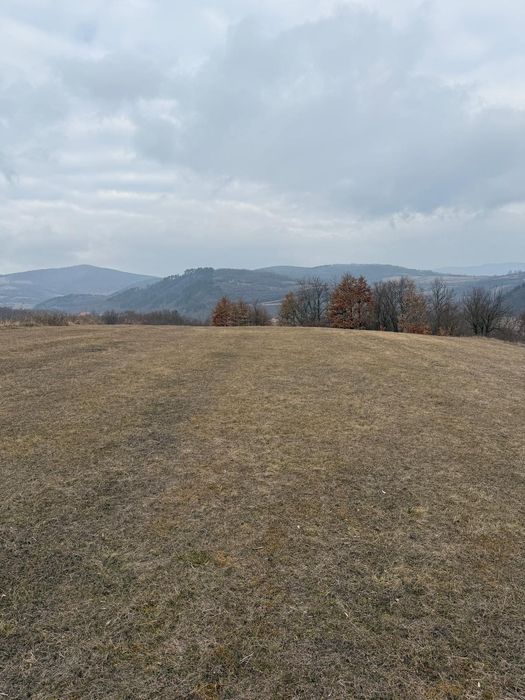 Teren vânzare Stăuini