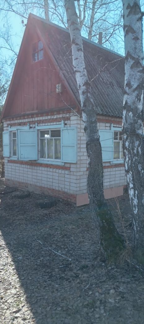 Продам Дачу в об. "Горизонт"