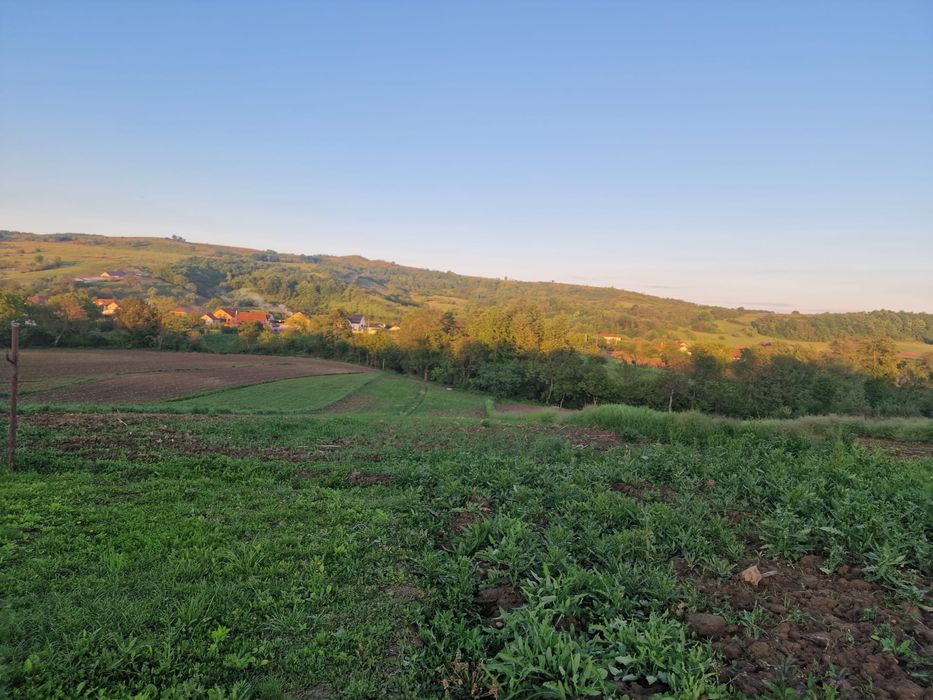 Casa la tara de vanzare