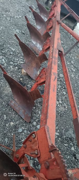 Plug Vogel Noot 4 capuri