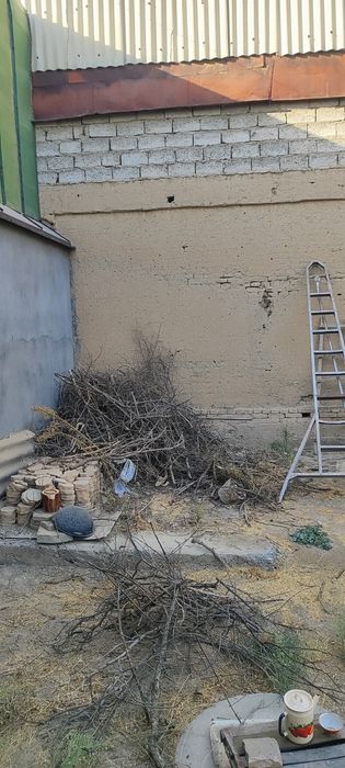 Oʻtin bor,bir labo moshiniga sigadi,evaziga 2 sotix er chopish kerak
