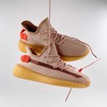 Кроссовки Adidas Yeezy Boost 350 (238)