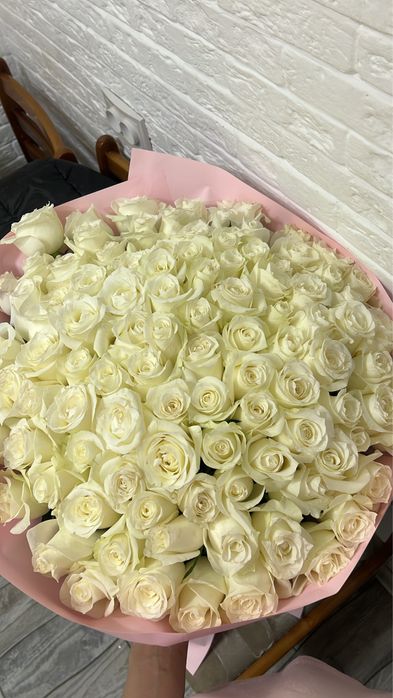 101 белые розы. Свежие