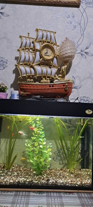 Продаётся аквариум с рыбками