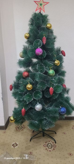 Archa sotiladi xolati ZOR rasimdagi Xama ma narsalari bilan Boyi 165 B