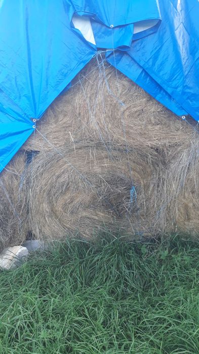 Vând baloţi de fân