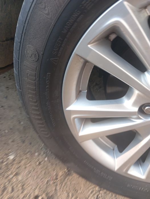 Кобольт балон родной